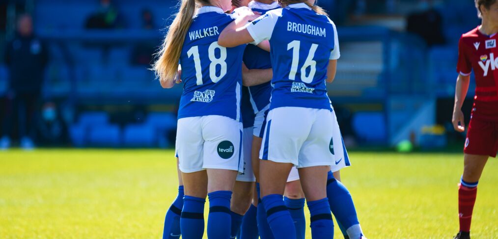 Birmingham City v Reading, Barclays FAWSL